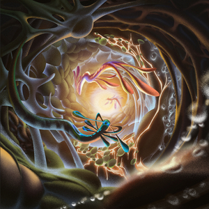 男女裸体做爱视频
